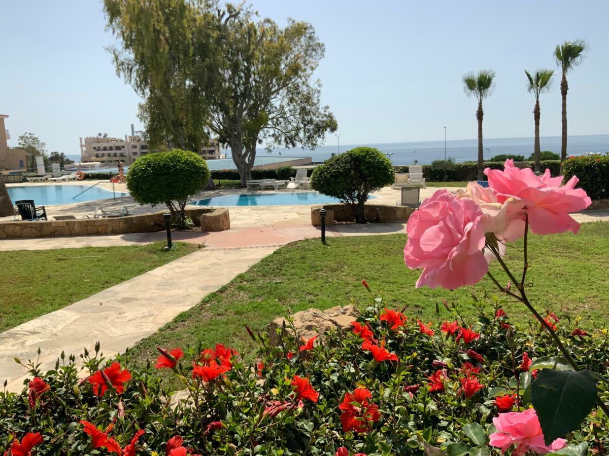 Kings Palace Indigo 109 * Pafos